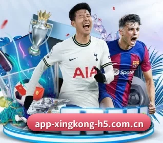 五大服务分区,信息按项目分类 | Xingkong